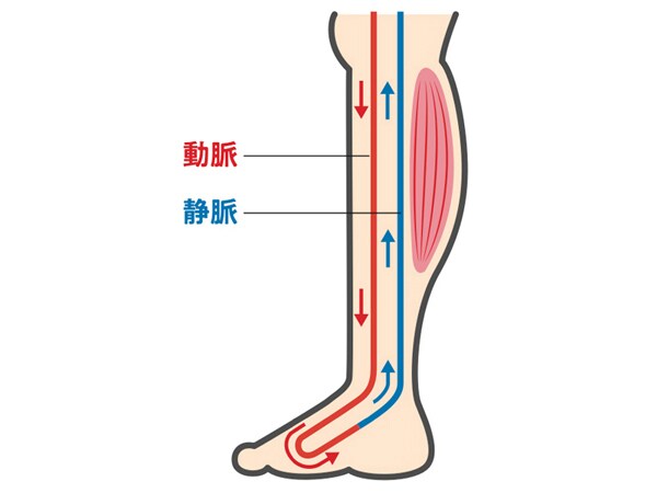 教えてくれたのは、歌島大輔さん