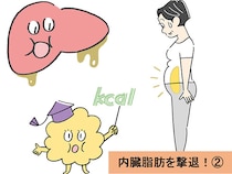内臓脂肪がたった3週間で落ちる!? 50代からのぽっこりお腹解消3つの簡単アプローチ【医師解説】