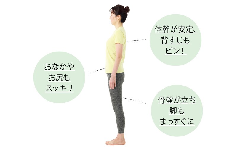 骨盤底筋の大事な役割は大きく3つ！