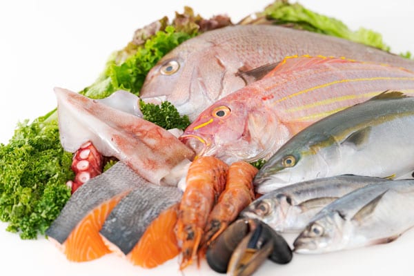 食べ方習慣2:腸内環境と血管を元気する食材で脳の炎症も防ぐ!