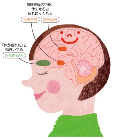 普段感じている疲れの原因は、脳疲労