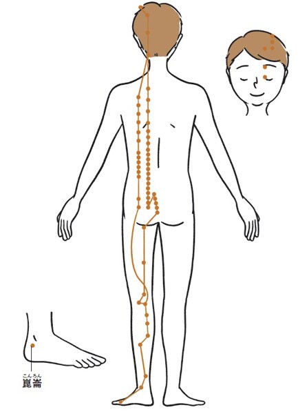 ■膀胱経と経絡上のツボ