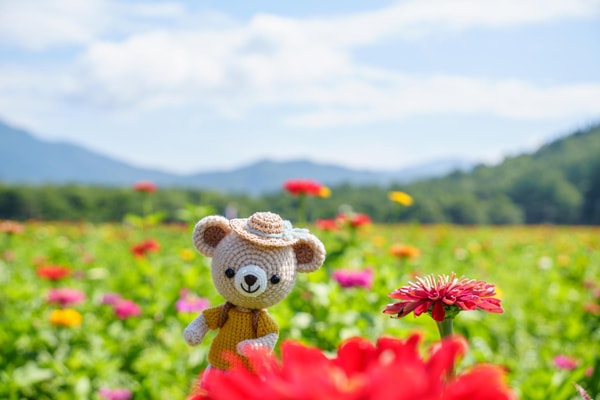 ぬい活の具体的な楽しみ方。実際には何をする？