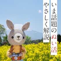 最近よく聞く「ぬい活」って何？流行の理由を大人世代にやさしく解説