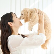 愛犬の医療費10万円超えは4割。50代から考えたい“後悔しない選択”