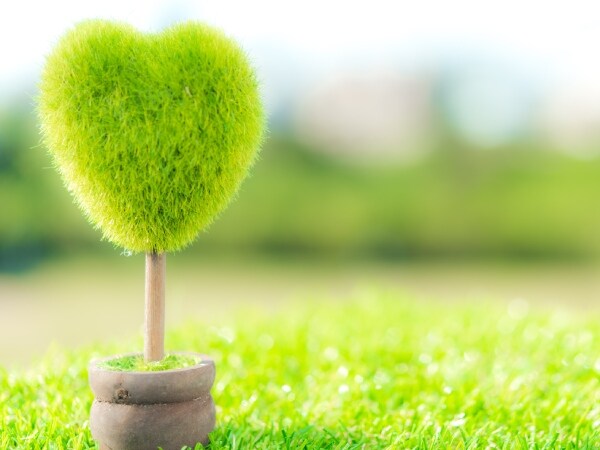 良い効果・健康になったらポジティブになった