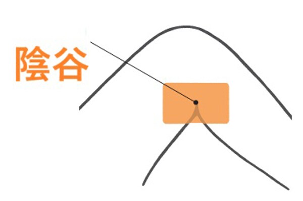 【更年期に実践】ホットフラッシュ・疲れ…早めのケアが肝心！