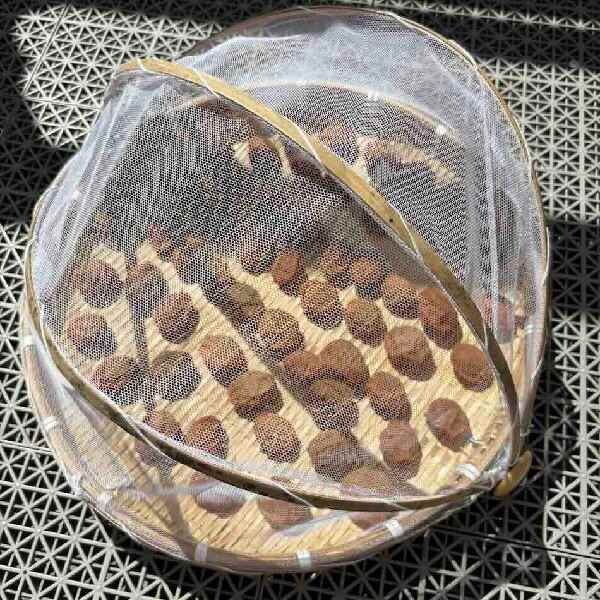 初めての梅仕事は、BTS推し活旅行の前日