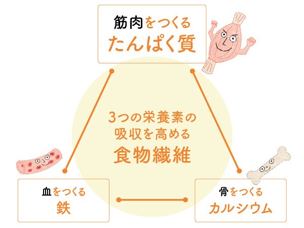 体の土台になる栄養を朝食でしっかり！