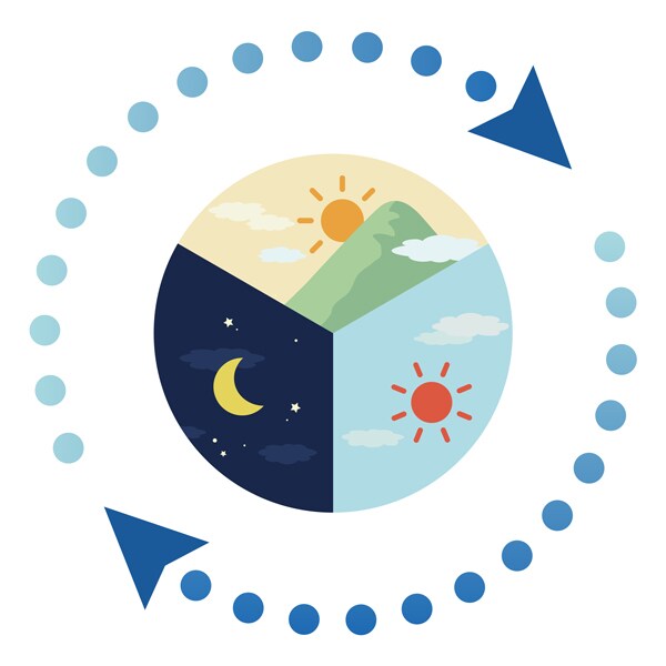 「いつ飲む？」を迷わない1日のスケジュール