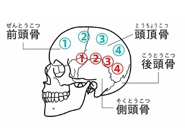 1.つなぎ目をゆるめる