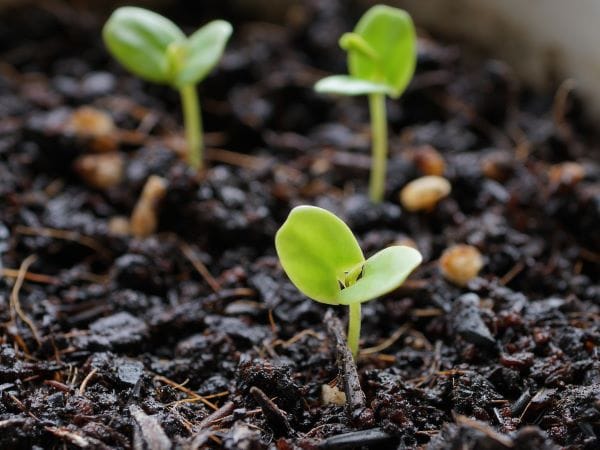 2026年3月★算命学開運術