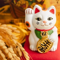 3月5日は金運の最強吉日！「一粒万倍日」にやるといいこと・やってはいけないこと