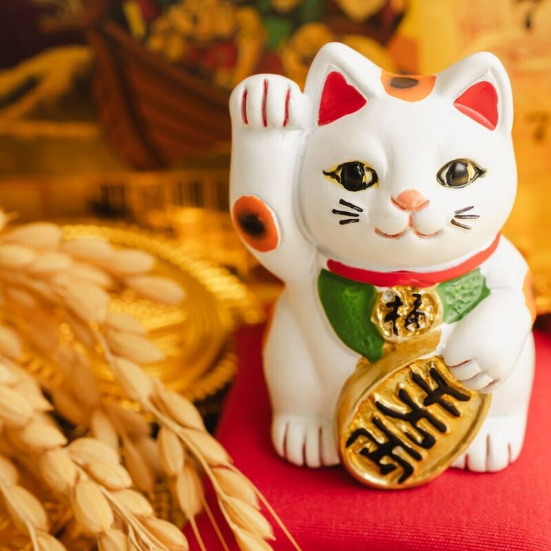 3月5日は金運の最強吉日！「一粒万倍日」にやるといいこと・やってはいけないこと