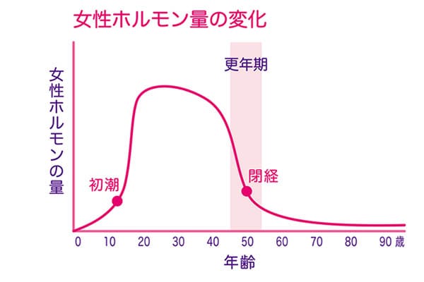 更年期とは、閉経によるダイナミックな体の変化 