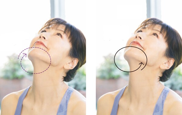 首を後ろに倒して、顔、頭全体を回す
