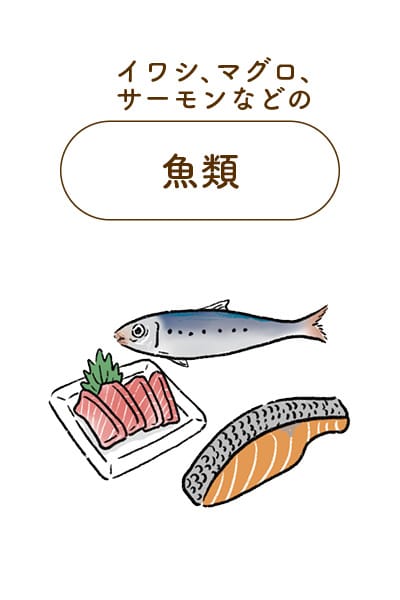 「オメガ3脂肪酸」寝つきや中途覚醒を改善