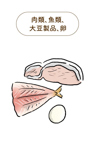 「GABA」脳がリラックスして深い眠りに