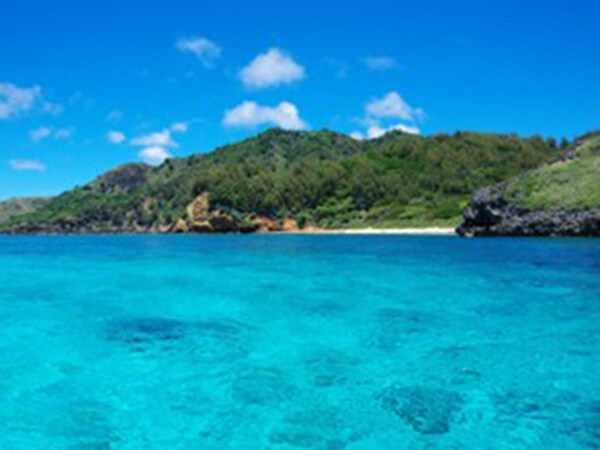 衝撃を受けた小笠原の自然美