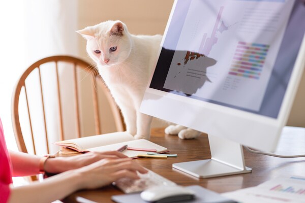 「納得のいく人生」フリーランスという働き方が教えてくれたこと