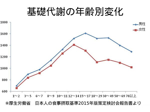 基礎代謝の年齢別変化