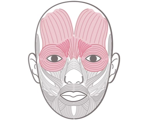 眉間とおでこのしわが気になる！原因は「表情の作り方のクセ」