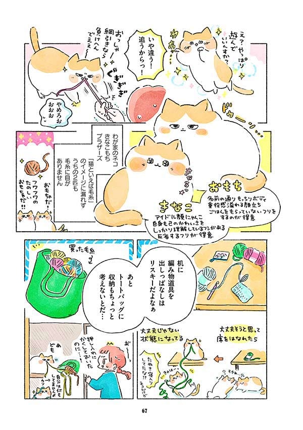 毛糸玉を出しっぱなしにしていたら大惨事に！