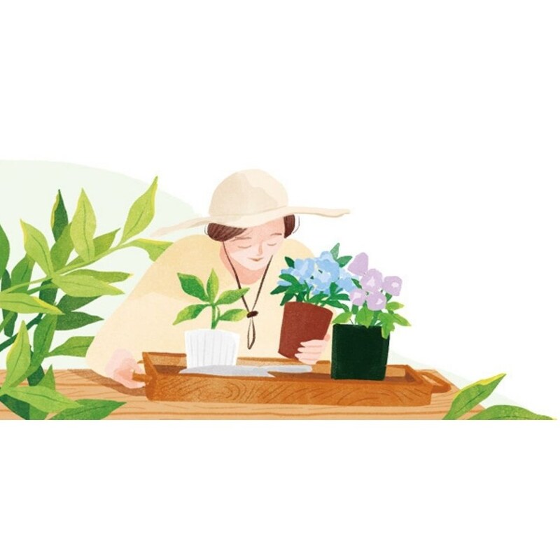 50代のうちから知っておきたい年金関連4つのお金用語＆ニュース