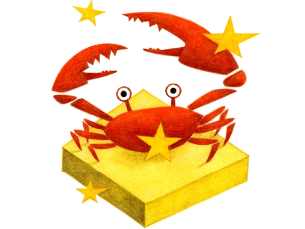 かに座