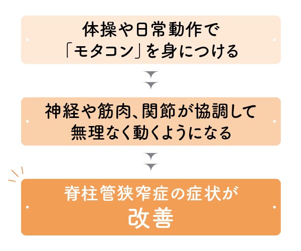 脊柱管狭窄症は改善できる？予防のポイントと対策
