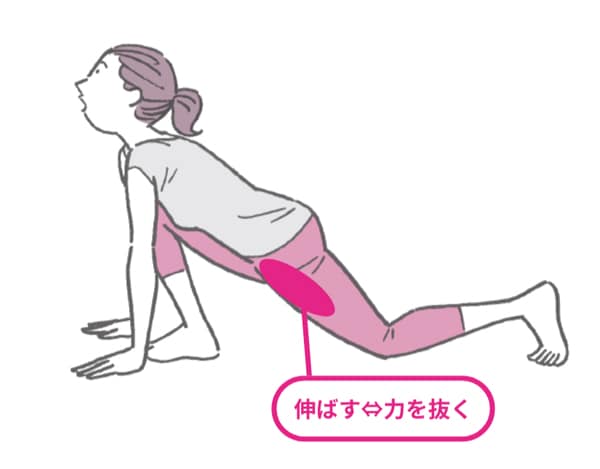 腎臓・膀胱のめぐりを整える脚の付け根のストレッチ