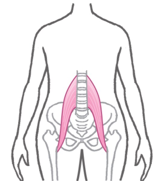腎臓・膀胱のめぐりを整える脚の付け根のストレッチ