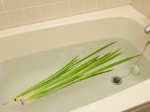 こどもの日は菖蒲湯はなぜ？意味や由来、うれしい効用とは？