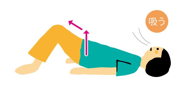 腰ロール：腰まわりをほぐし、腰椎と股関節をなめらかに