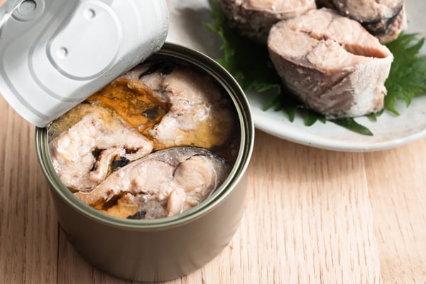 毎日サバ缶を約9缶！私たちがビタミンD不足から逃れられない訳