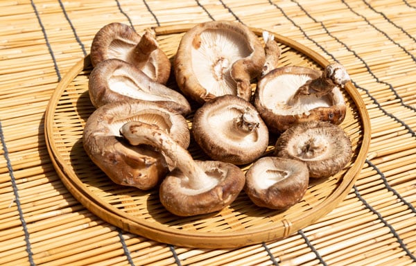 今日から始めたい、効率よく補う「ビタミンD習慣」5選