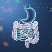 日本人の98％が不足しているのは何!?ゆるんだ腸をピタッと密閉「ビタミンD」パワー