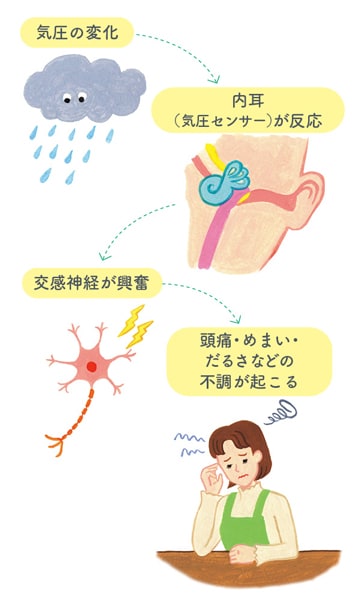 気象病と自律神経の関係は？