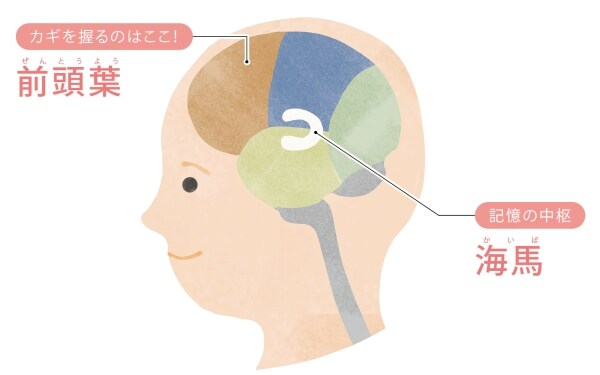「なんだか面倒くさい」を見過ごすと認知症へと進行