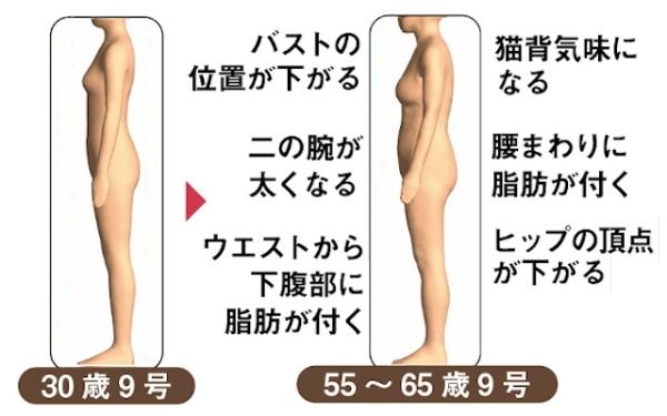 30歳と55歳の体形はこんなに違う