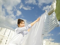 毎日、週1、月1？【シーツの洗濯】どのくらいでしてる？おすすめ頻度は？