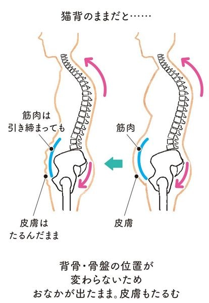 なぜ40代以降はお腹まわりから太りやすくなるのか？