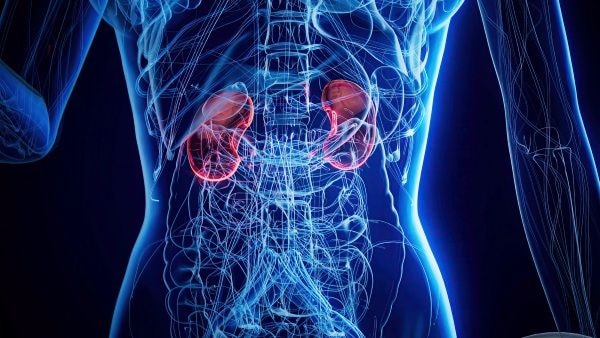 あなたの腎臓は大丈夫？「リンの取り過ぎ」で慢性腎臓病に