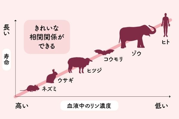 腎臓の機能が低下すると肌のくすみやしわにつながる可能性も