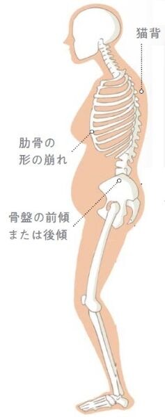 すっきりしないのは「体のエラー」原因はこの2つ!