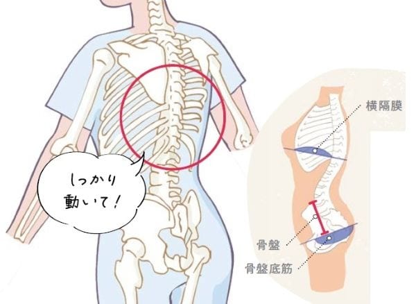 教えてくれるのは、Sachiyo（さちよ）さん