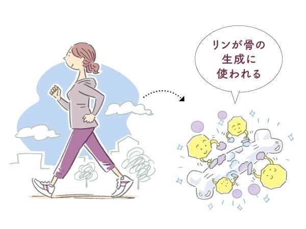 習慣1：適度な運動で骨を刺激し“リンの家出”を防ぐ！