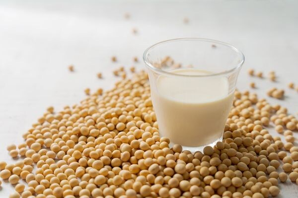 ＋αで摂りたい！骨と健やかなバランスを守る食材