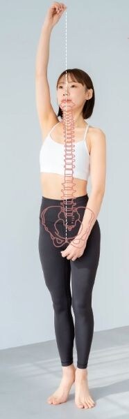 ピラティスをやると手足や首が長くなるのは本当?