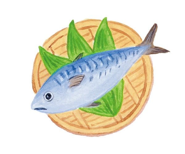 魚はどの研究結果からも「食べるべき食材」